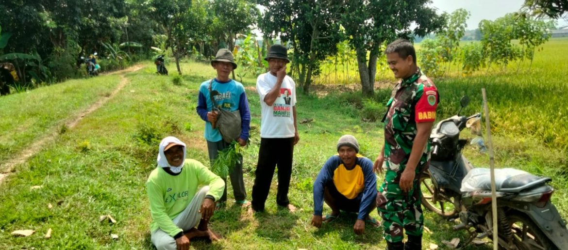 Melalui Komsos, Kedekatan Babinsa Koramil 1605 Indramayu Bersama Warga Masyarakat Desa Tersana Semakin Erat 