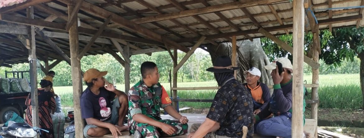 Babinsa Koramil 1604 Jatibarang Indramayu Melakukan Bersama Kelompok Tani Makmur 2 Kecamatan Jatibarang 