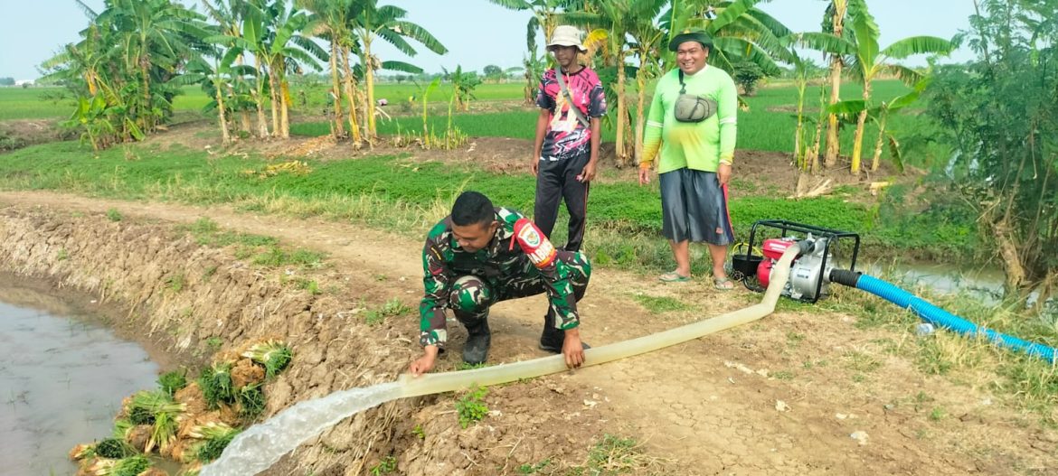 Koramil 1609 Juntinyuat Indramayu Monitoring Penggunaan Pompa Brigade di Persawahan Wilayah Binaan 