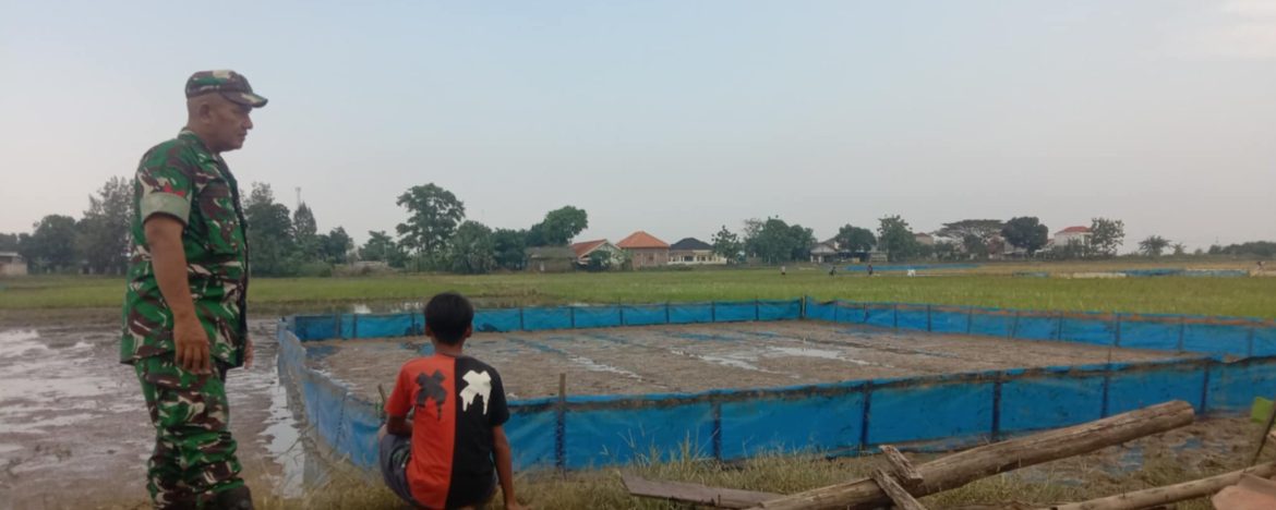 Babinsa Koramil 1603 Lohbener Indramayu Melakukan Pendampingan Pertanian Di Wilayah Binaan 