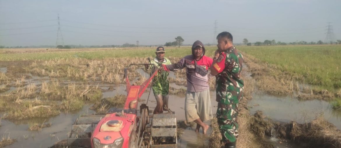 Monitoring dan Pendampingan Pertanian Olah Lahan di Desa Cadangpinggan Sukagumiwang Indramayu