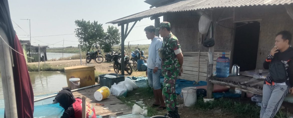 Babinsa Koramil 1602 Sindang Indramayu Komsos Bersama Kelompok Pembudidaya Ikan (Pokdakan) “Mina Brahim Maju” 