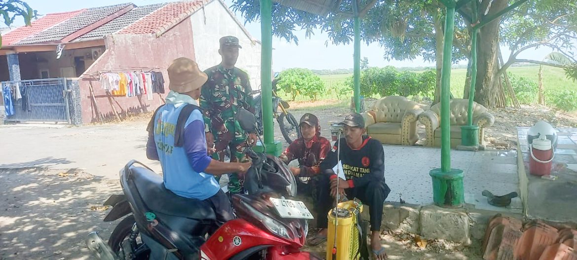Babinsa Koramil 1603 Lohbener Indramayu Mengadakan Pendampingan Pertanian di Lahan Persawahan 