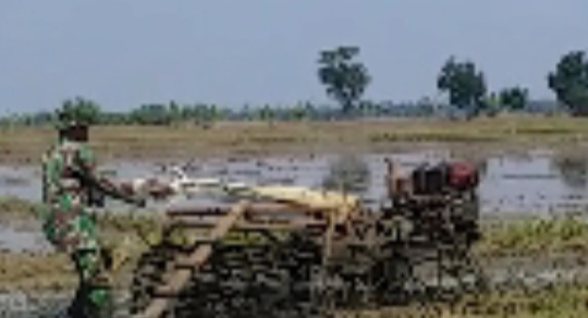 Aksi Nyata TNI, Babinsa Koramil 1605 Sukagumiwang Indramayu Bantu Petani Traktor Lahan Persawahan 