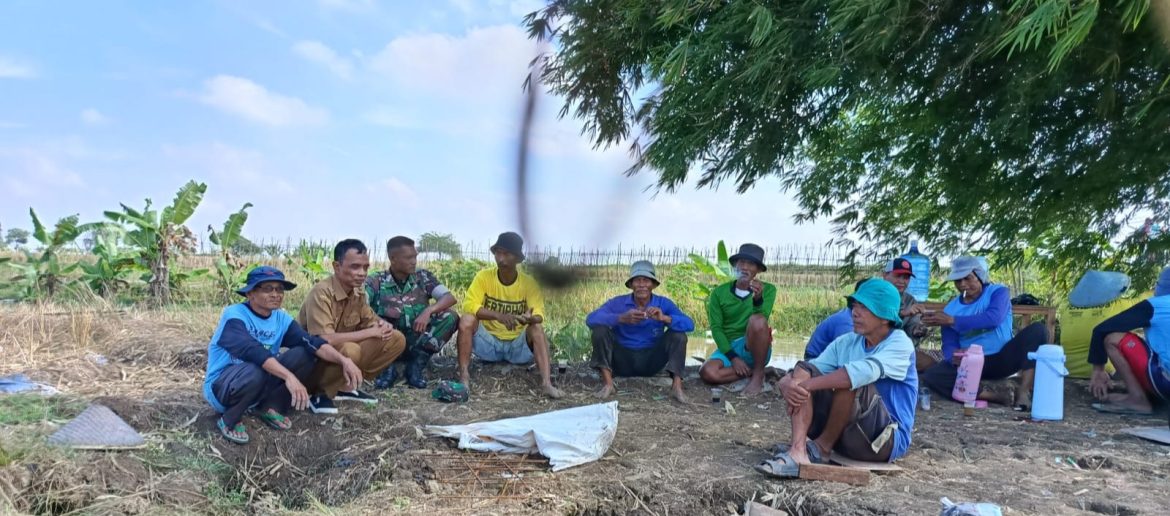 Sertu Sumber Wunto Anggota Koramil 1605 Sukagumiwang Indramayu Komsos Dengan Petani 