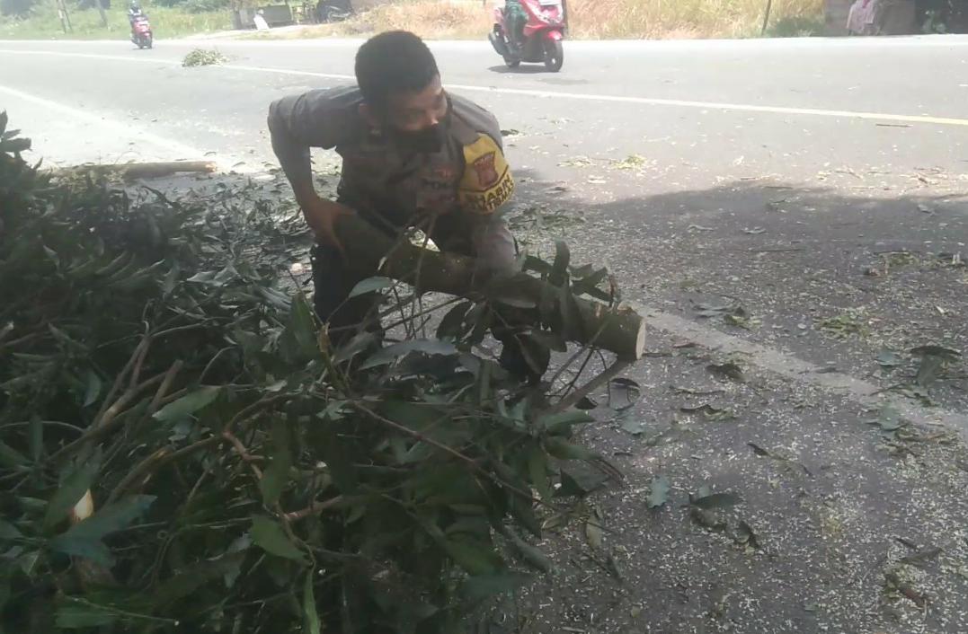 Demi Untuk Keselamatan Pengguna Jalan Yang melintas, 2 Personil Bhabinkamtibmas Polsek Rantau Selamat Tertibkan Pohon Tumbang