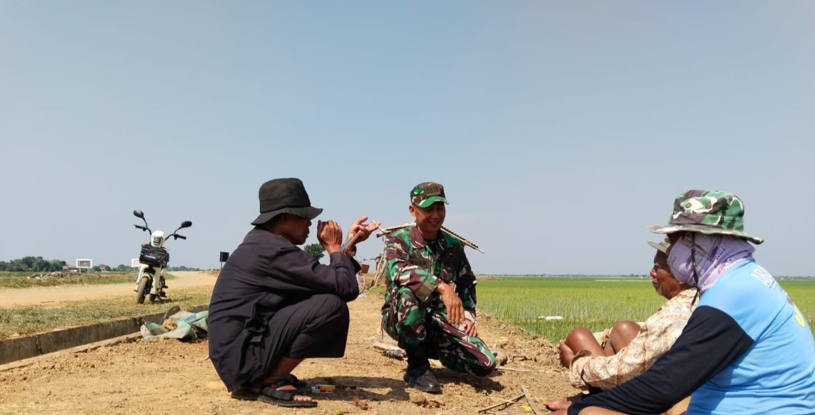 Babinsa Koramil 1611 Losarang Indramayu Lakukan Komsos Bersama masyarakat petani Desa pegagan