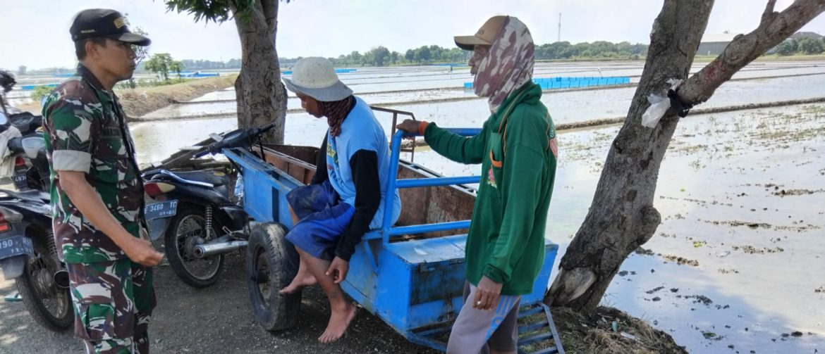 Babinsa Koramil 1602 Sindang Indramayu Lakukan Komsos Dengan Anggota Poktan Sri Rejeki Desa Cantigi Kulon