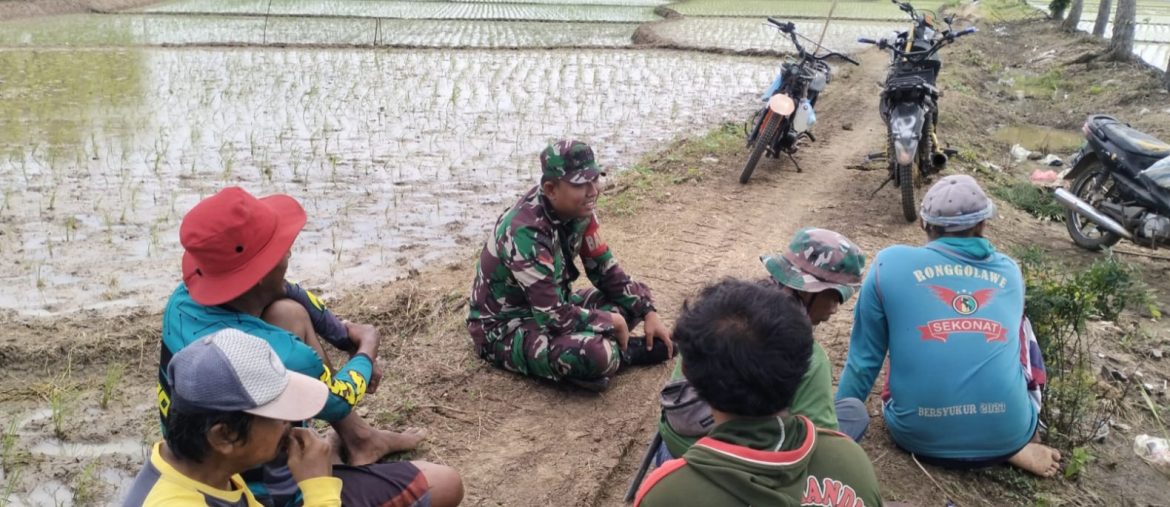 Babinsa Koramil 1611 Losarang Indramayu Lakukan Komsos Bersama Masyarakat Petani Desa Jumbleng 