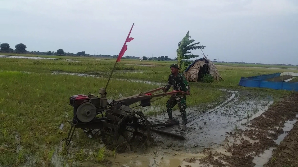 Anggota koramil 1605 Sukagumiwang Monitoring dan Pendampingan Pertanian Olah Lahan di Desa Manguntara