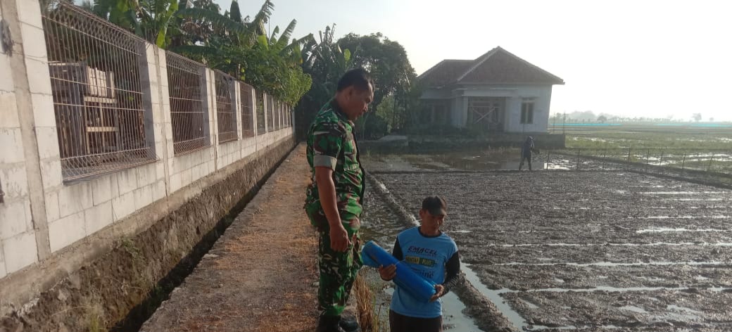 Anggota Koramil 1605 Sukagumiwang Indramayu Lakukan Monitoring dan Pendampingan Pertanian Olah Lahan di Desa Tulungagung 