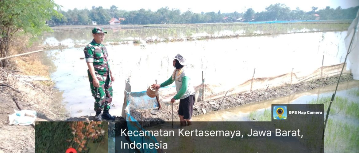 Babinsa Koramil 1605 Sukagumiwang Indramayu Melakukan Monitoring dan Pendampingan Pertanian Olah Lahan di Desa Sukawera 