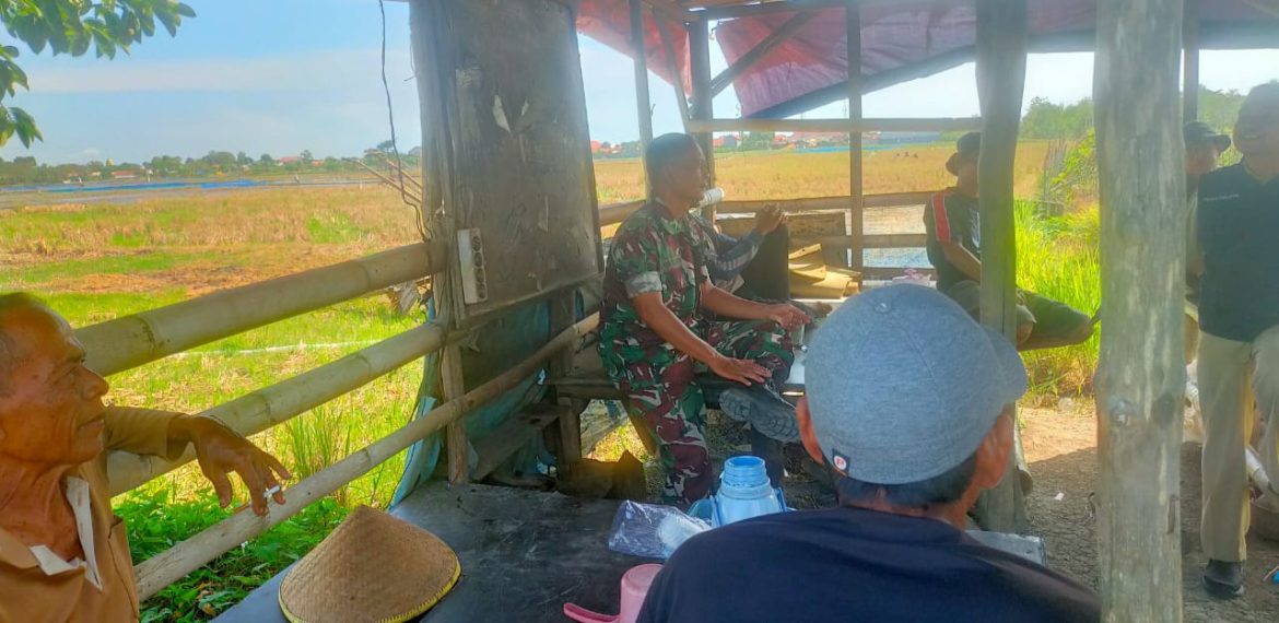 Babinsa Koramil 1608 Karangampel Indramayu Lakukan Monitoring Pemilihan Poktan Baru Desa Tanjungpura 