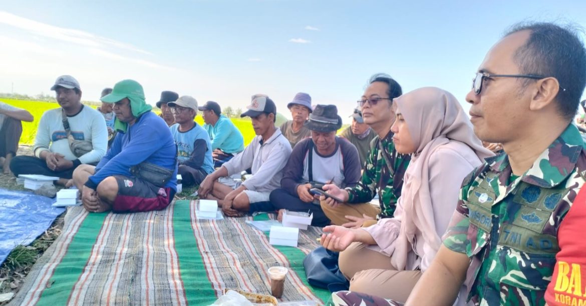 Koramil 1601 Indramayu Menghadiri Sekolah Lapangan Pertanian di Desa Tegalurung Kecamatan Balongan