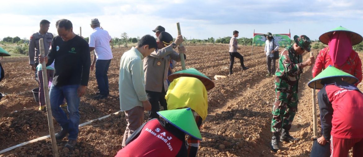 Polres Indramayu Tanam Jagung Tahap Tiga di LBS Desa Cikawung Trisi