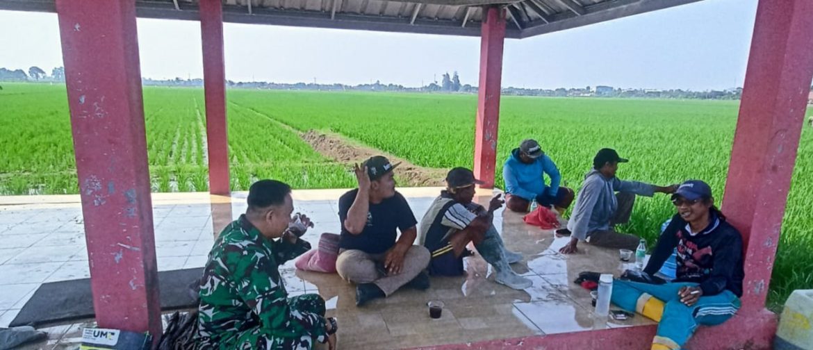 Babinsa Koramil 1611 Losarang Indramayu Lakukan Komsos Bersama petani Desa Jangga