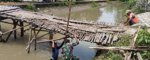 Permudah Aktivitas Warga, Babinsa Koramil 1604 Jatibarang Indramayu Bersama Masyarakat Perbaiki Jembatan Rusak 