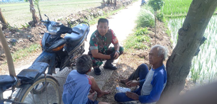 Babinsa Koramil 1608 Karangampel Indramayu Melakukan Komsos Bersama Petani di Blok Tagog Desa Dukuh tengah