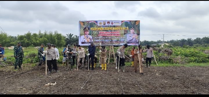 Dukung Swasembada Pangan, Kapolsek Rambutan Pimpin Penanaman Jagung Kuartal III