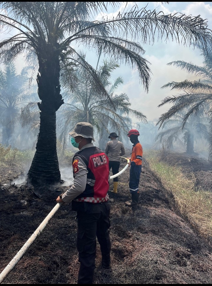 Petugas Gabungan Polres Ogan Ilir Berhasil Padamkan Kebakaran Lahan Gambut Di Desa Parit*