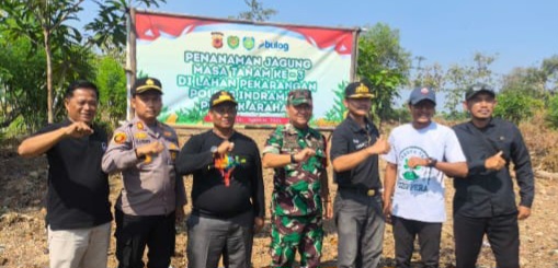 Danramil 1603 Lohbener Indramayu Hadiri Kegiatan penanaman Jagung di Pekarangan blok Lampah Rt.10 Rw.03 Desa Cidempet Dalam Rangka Mendukung Program Asta Cita Presiden RI PRABOWO SUBIYANTO
