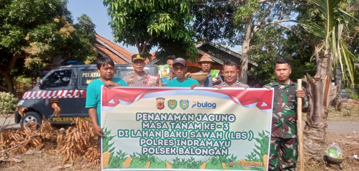 Babinsa Koramil 1601 Indramayu Monitoring Kegiatan Tanam Jagung Masa Tanam ke 3 Untuk Mendukung Program ASTA CITA Pemerintah Pusat