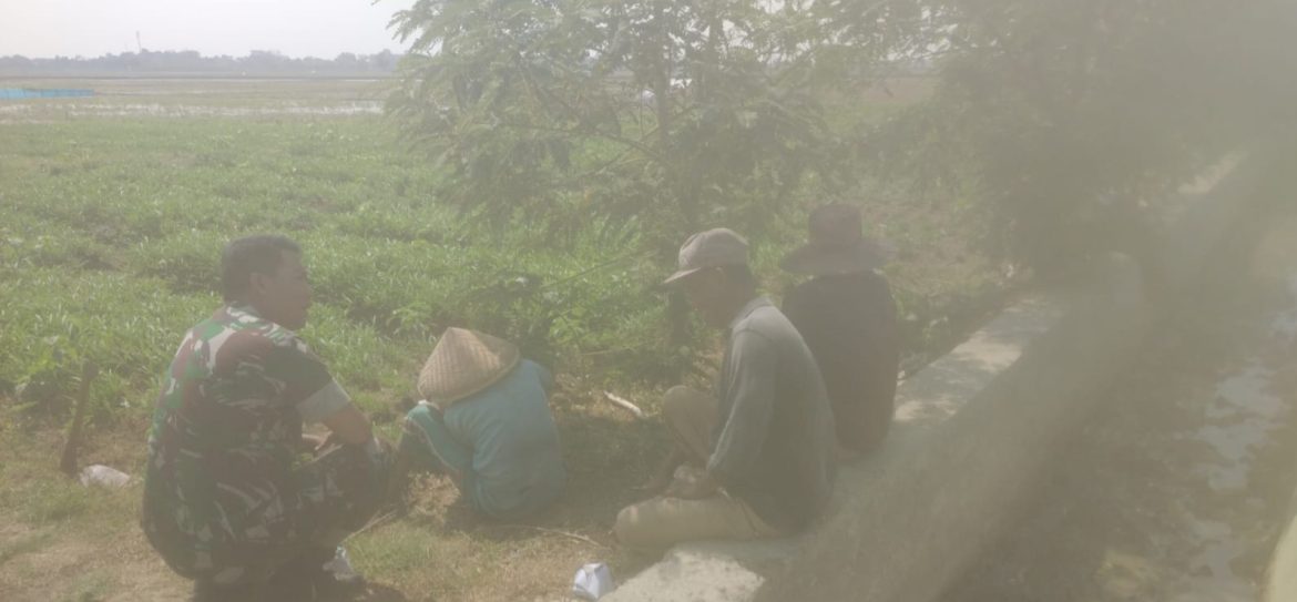 Himbau Petani Jaga Kesehatan, Babinsa Koramil 1608 Karangampel Indramayu Melakukan Komsos Dengan Petani 
