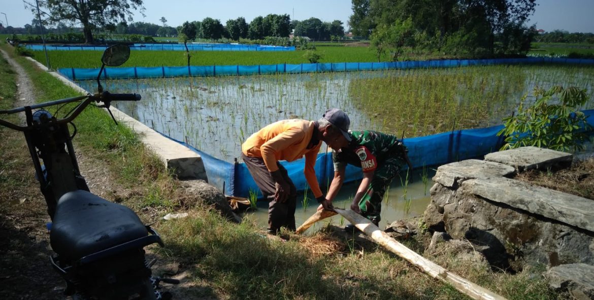 Babinsa Koramil 1609 Juntinyuat Indramayu Lakukan Monitor Saluran Air di Poktan Sriwidara