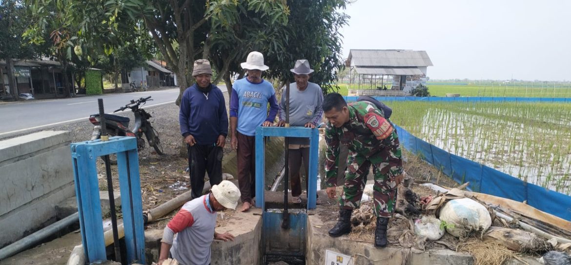 Anggota Koramil 1601 Indramayu Melakukan Pendampingan Giring Air Sawah di Desa Majakerta