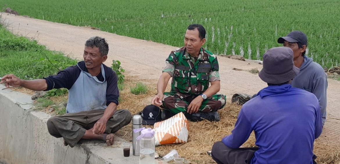 Babinsa Koramil 1602 Sindang Indramayu Melakukan Komsos Dengan Poktan Harapan 3 Desa Panyindangan Wetan 