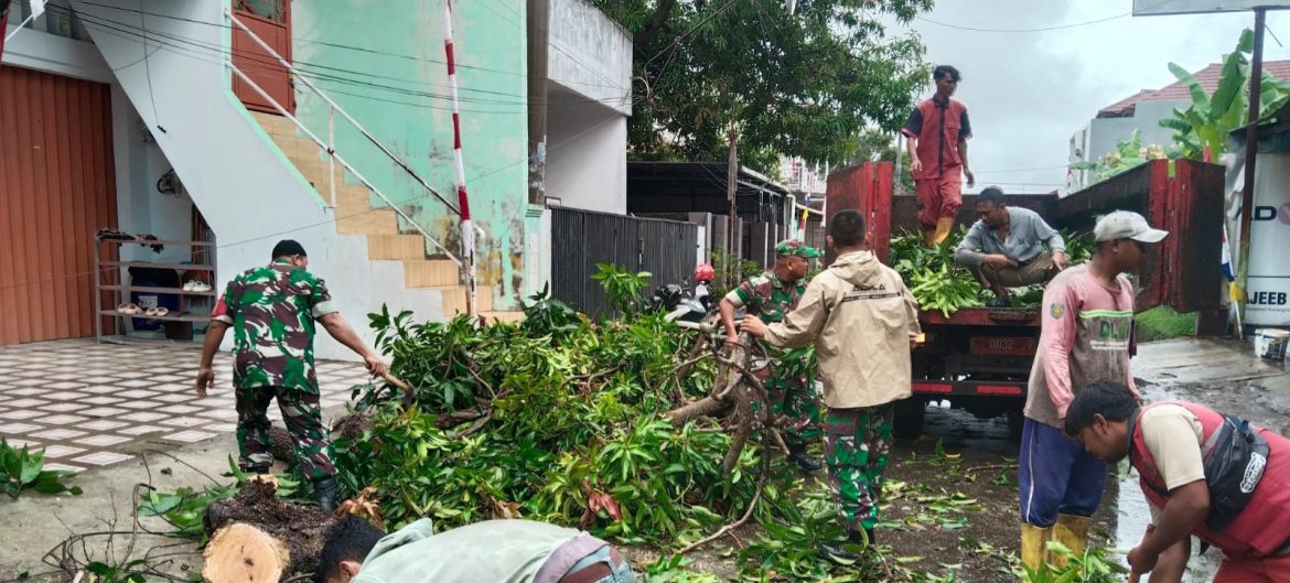 Pohon Tumbang Tutupi Jalan, Personil Koramil 1601 Indramayu Grak Cepat Bantu Evakuasi Bersama Masyarakat 