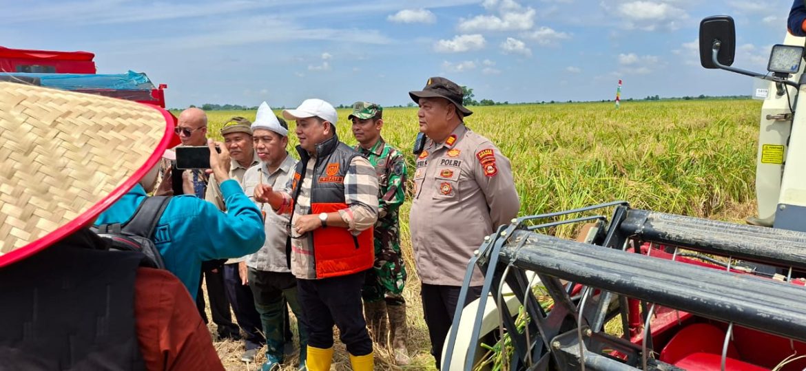 Polsek Rantau Bayur melaksanakan Panen Raya Padi IP 100 dan tanam IP 200 di Desa Srijaya Kec. Rantau Bayur Kab. Banyuasin