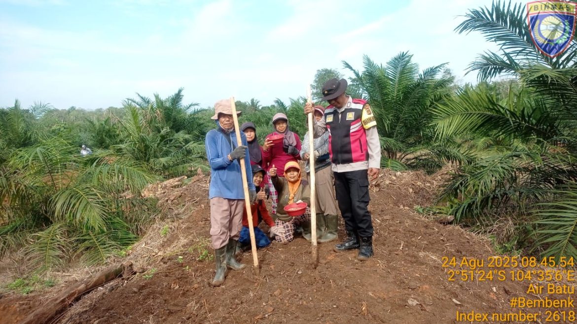 Polsek Talang Kelapa melaksanakan Gerakkan Ketahanan Pangan Tanam Jagung di Lahan Perusahaan