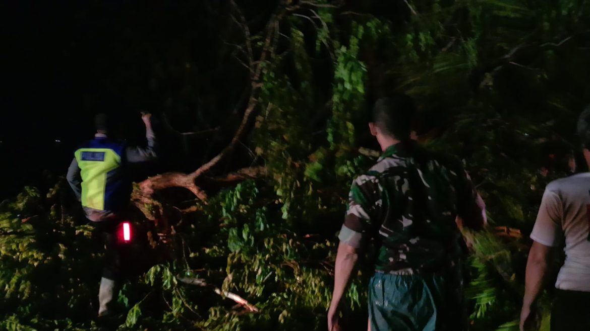Anggota Koramil 1609 Juntinyuat Indramayu Evakuasi Pohon Tumbang di Jalan Raya Juntinyuat Blok Jembatan Kamal 
