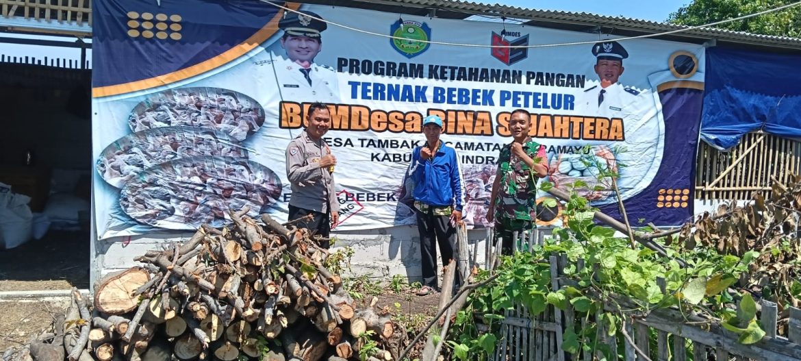 Babinsa Koramil 1601 Indramayu Melakukan Kegiatan Ketahanan Pangan Melalui Ternak Bebek di Desa Tambak