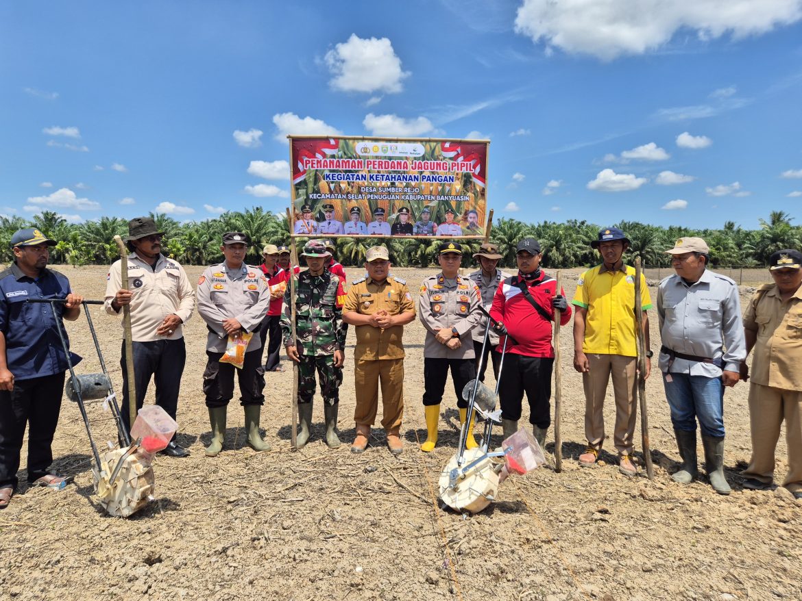 Polsek Pulau Rimau melaksanakan penanaman jagung di Desa Sumber Rejo Kec.Selat penuguan Kab.Banyuasin