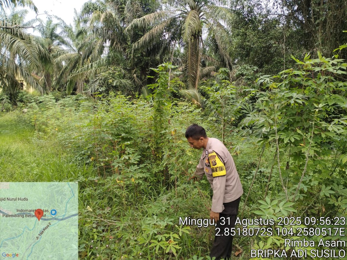 Polsek Betung melaksanakan kegiatan Program P2B Mendukung Program Presiden RI Swasembada Pangan Nasional
