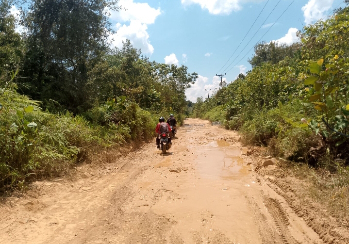 Jalan Rusak Parah di Kecamatan Dedai, Sintang, Hambat Mobilitas dan Pelayanan Publik
