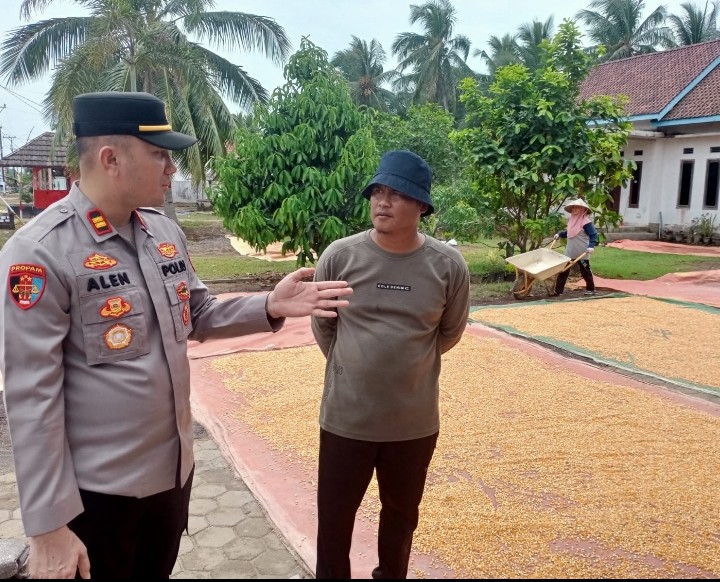 Kapolsek Tanjung Lago Cek Langsung Penjemuran Hasil Panen Jagung
