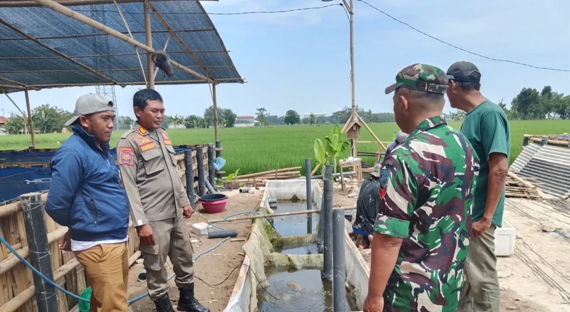 Anggota Koramil 1611 Losarang Indramayu Melakukan Komsos Bersama Masyarakat dan Peternak Ikan di Desa Pangkalan