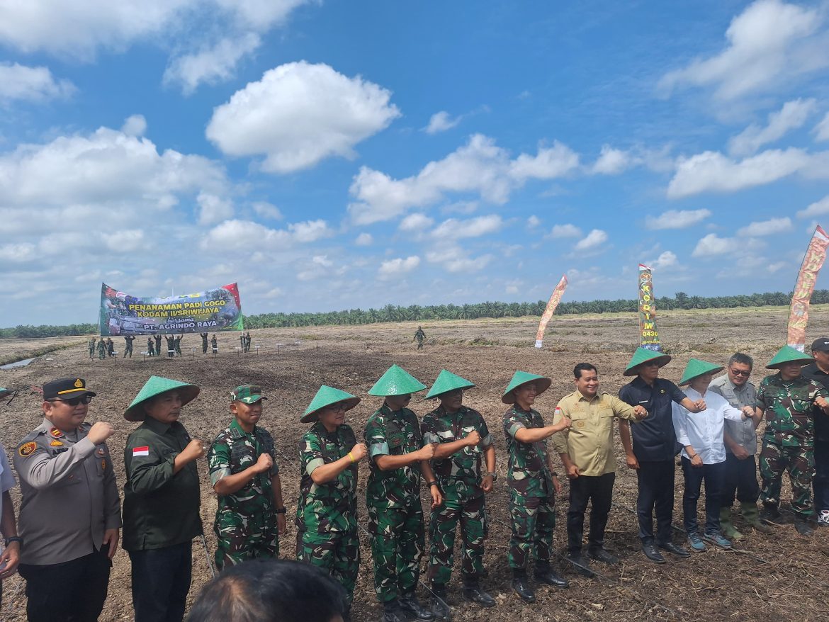 Polsek mariana monitoring dan pengamanan,penanaman padi Gogo di PT Agrindo raya desa pematang palas kec Banyuasin l kab Banyuasin