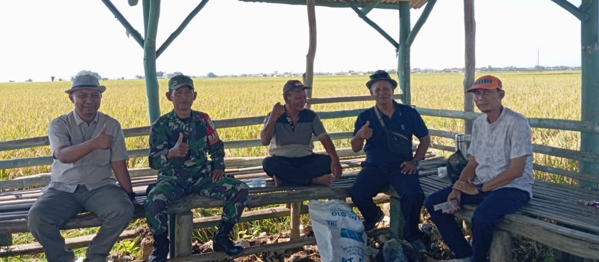 Babinsa Koramil 1609 Juntinyuat Indramayu Melakukan Komsos Bersama Ketua Gapoktan dan Petani Desa Pondoh