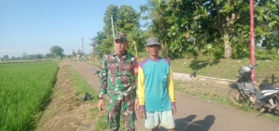 Babinsa Koramil 1611 Losarang Indramayu Melakukan Komsos Pertanian di Desa Puntang blok Sarki