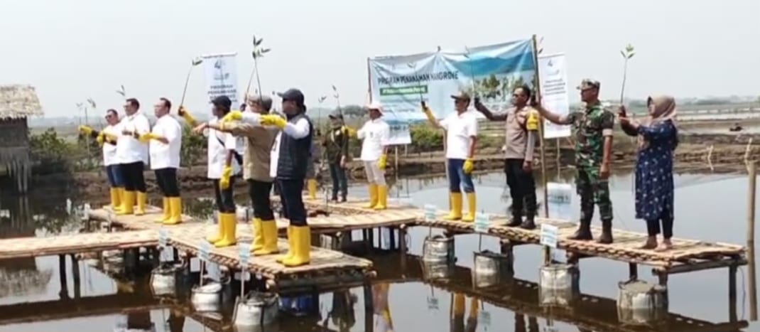 Melindungi Ekosistem Pesisir Dari Abrasi, Koramil 1602 Sindang Indramayu Melakukan Program penanaman Mangrove