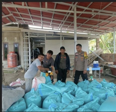 Bhabinkamtibmas Polsek Muara Padang Dampingi Poktan Dalam Proses Pengepakan Hasil Panen Jagung