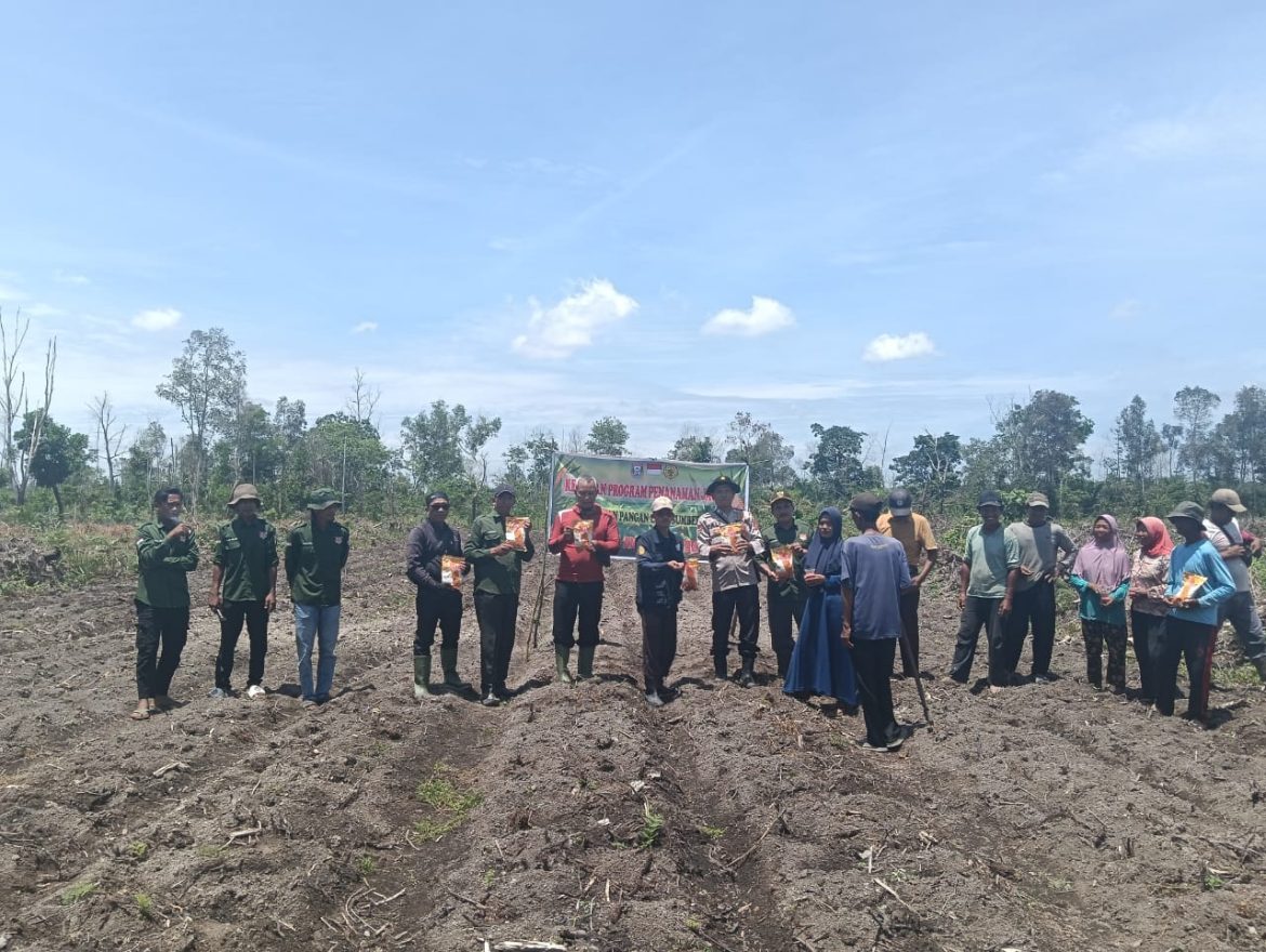 Polsek Pulau Rimau Dukung Ketahanan Pangan dengan Gerakan Tanam Jagung di Desa Sumber Rezeki