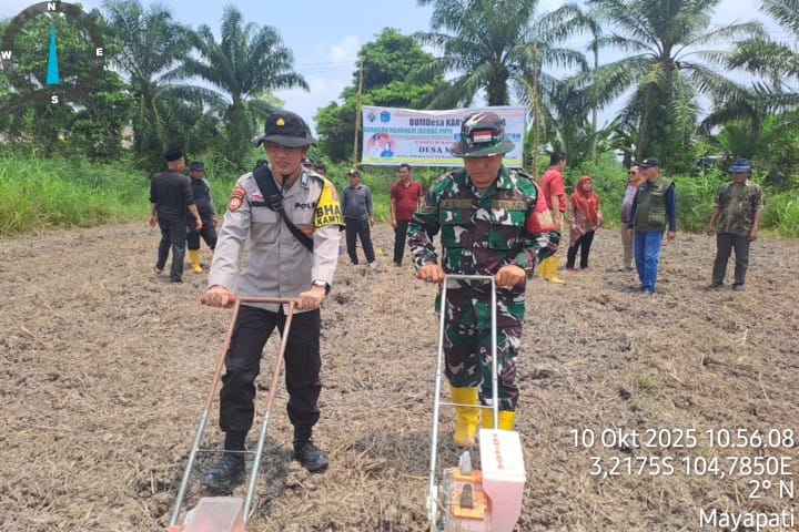 Polsek Pemulutan Polres Ogan Ilir Dukung Program Presiden RI dalam Ketahanan Pangan Melalui Penanaman Jagung di Desa Mayapati
