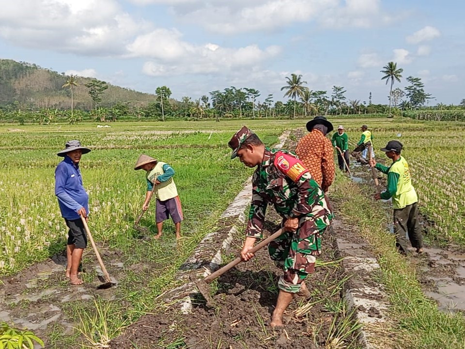 Babinsa Margomulyo Bantu Warga Timbun Jalan Pertanian Untuk Lancarkan Akses