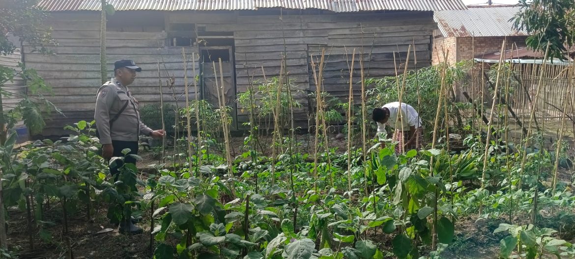 Bhabinkamtibmas Polres Banyuasin Wujudkan Ketahanan Pangan Melalui Perawatan Lahan Pertanian