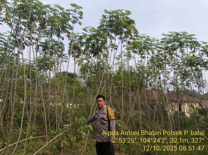 Bhabinkamtibmas Polsek Pangkalan Balai Gelorakan Program Pekarangan Pangan Bergizi Di Warga Binaannya